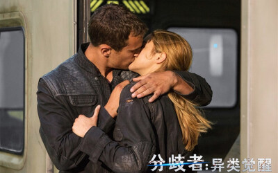 Divergent 分歧者