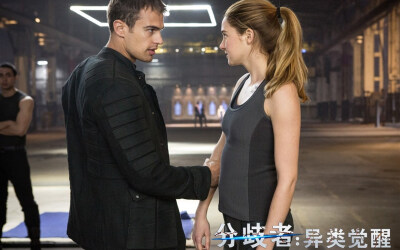 Divergent 分歧者