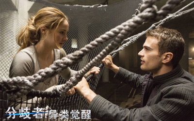 Divergent 分歧者