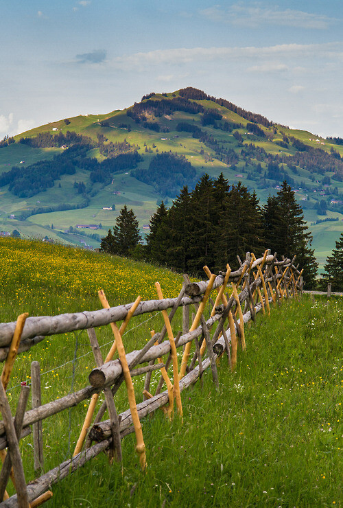 Appenzellerland, Switzerland。瑞士阿彭策尔小镇位于瑞士东北部的阿彭策尔地区，离德国边境很近，这里没有4000米高的山峰。也没有冰河，可以说是个与瑞士的旅游开发无缘之地。但正因为如此，这里至今仍然保留着古代瑞士的美丽景观。在这里一幢幢粉刷亮丽色彩的房屋，与周边叠绕的丘陵，舒缓的牧场构成了质朴的瑞士乡村的完美画面。