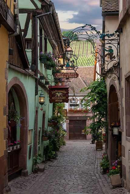 Riquewihr, Alsace, France。酒城利克威尔是法国阿尔萨斯大区（Alsace）的小镇，距北部的科尔玛（Colmar）15公里。座落在酒乡之路旁边的一处山谷中，整个小城寻觅不到一丝现代建筑的痕迹，仿佛历史的演义在这里突然停滞，使之永远定格在古朴纯美的十七世纪。因风景如画的中世纪艺术和建筑闻名于世。