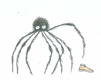 小时候在院子玩虫子，曾听到蜘蛛太太生气的和老公说：你可不可以不要再买鞋了？家里負担不了你每次都得买四双！