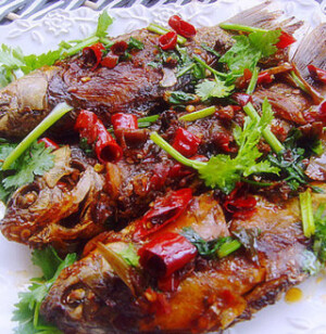 家常酱鲫鱼的做法 主料： 鲫鱼 3条  辅料： 香菜 适量 葱 适量 姜 适量 蒜 适量 干辣椒 适量 花椒 适量 郫县红油豆瓣酱 适量 调料： 盐 适量 生抽 适量 老抽 适量 料酒 适量 1、鲫鱼剖去内脏，洗净  2、下锅用油煎制两面金黄,然后盛出备用 3、切好香菜、葱、姜、蒜4、切好干辣椒，花椒备用  5、底锅热油爆香花椒，下切好的葱、姜、蒜炒香  6、放入干辣椒段7、倒入郫县红油豆瓣酱炒匀 8、倒些许生抽、老抽  9、将炸好的鱼放入10、两面裹匀后倒入清水、料酒、精盐  11、炖至汤汁快收干时，撒香菜出锅即可  家常酱鲫鱼特色： 咸鲜下饭