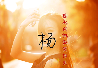 我姓杨，姓氏壁纸