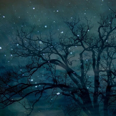 starry tree