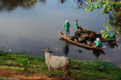 Siem Reap,Cambodia。（Photo by Fannie Wu）柬埔寨吴哥窟。