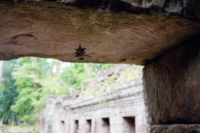 Preah Khan,Siem Reap, Cambodia.（Photo by Fannie Wu）圣剑寺寺名来源于阇耶跋摩二世传继承人圣剑的传说。阇耶跋摩七世重建吴哥城时曾在此居住，这里曾经是高棉人最重视的寺庙之一，最重要的节日典礼都在这里举行…