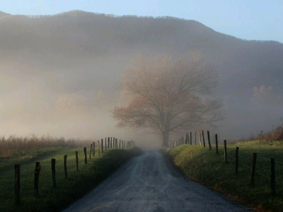 這裏是大煙山國家公園的凱茲山凹（Cades Cove）。對攝影師克裏斯托弗·尤因來說，這樣的霧還不夠濃。不過在道路上走了一會之後，太陽逐漸升起，帶來令所有攝影師都夢想得到的光線。大煙山國家公園位於美國東部，跨越…