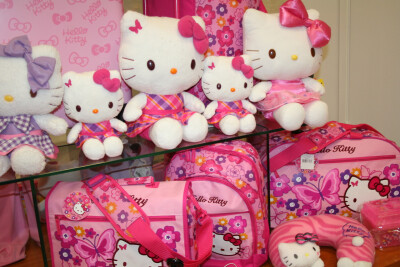 Sanrio Hello Kitty 其它~