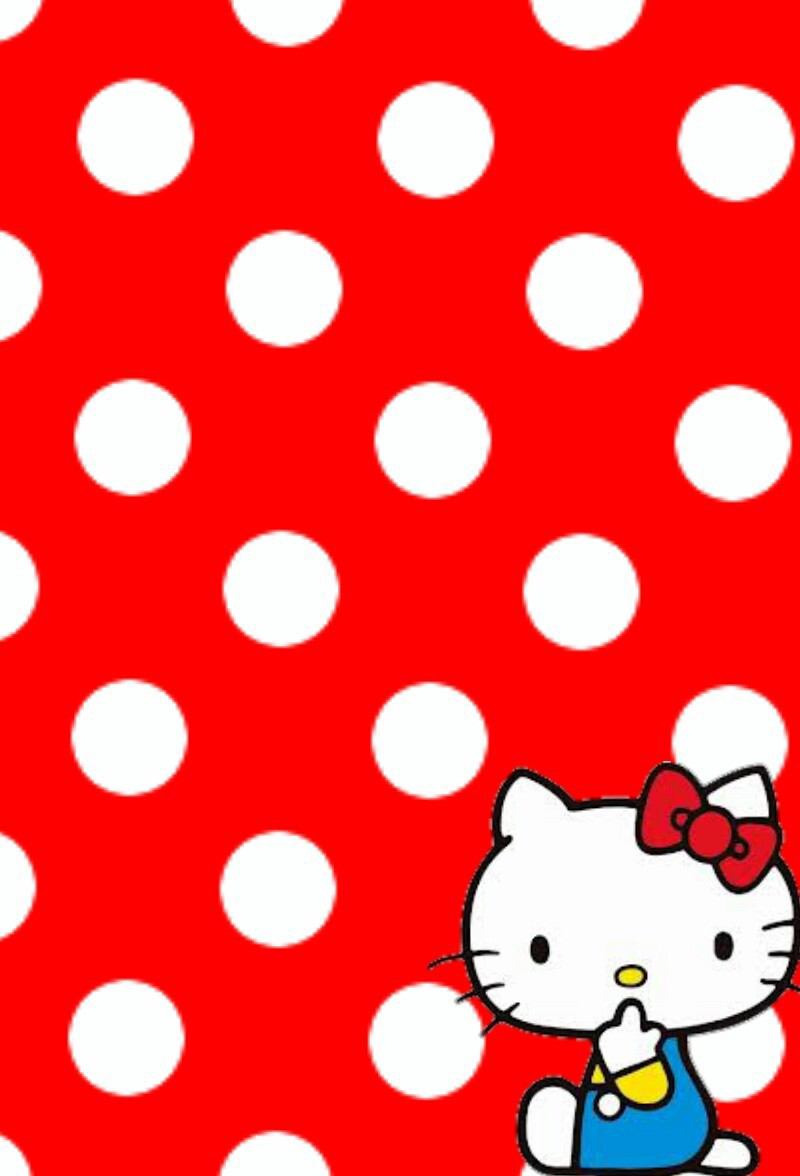 Sanrio Hello Kitty 其它~