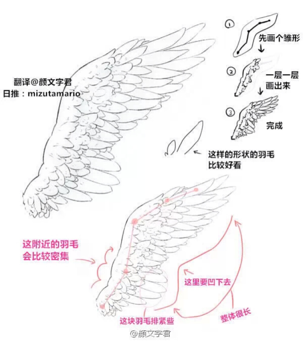 手绘 翼的画法 via颜文字君（新浪微博）