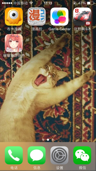 扑到你
