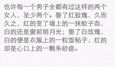 别人问我想要什么样的爱情，我说我希望我是那床前明月光和那心头的朱砂痣