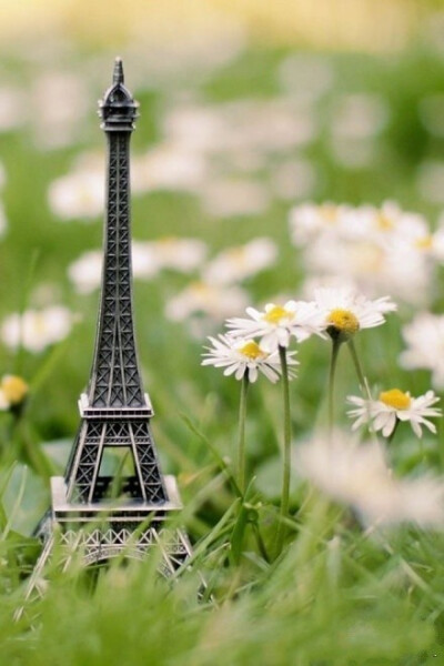 放空的心，是最好的礼物；独走的路，是最美的风景。