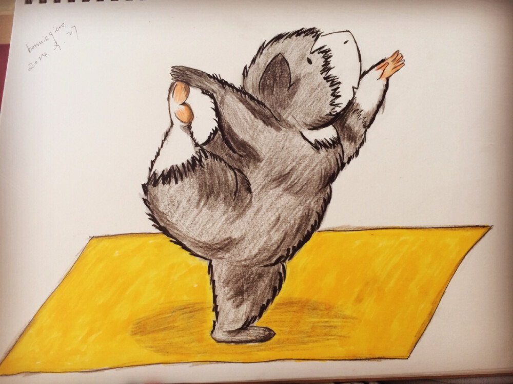 瑜伽老鼠太胖了