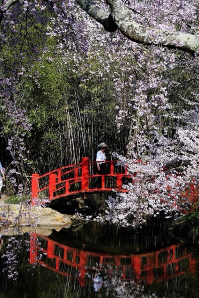 日式庭院