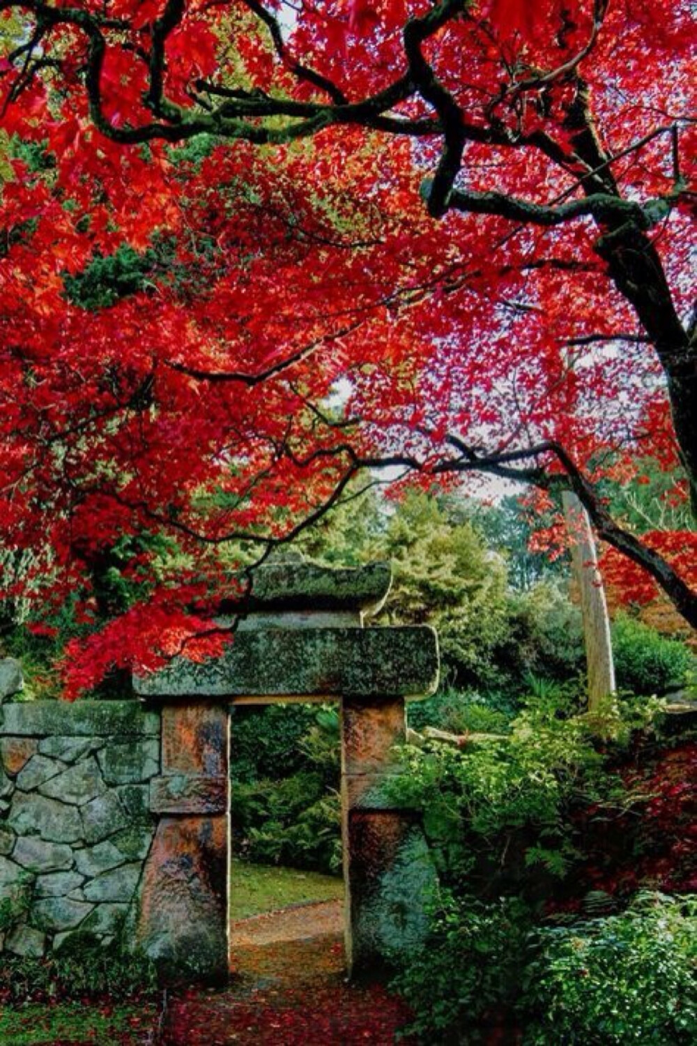 日式庭院