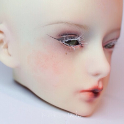 BJD 来自百度BJD吧