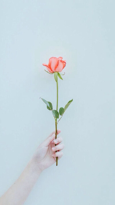 森系 清新 文艺