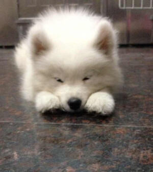 当你还是小姑凉的时候