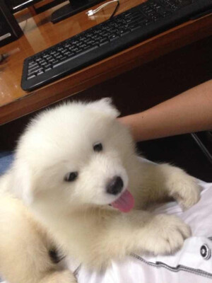 当你还是小姑凉的时候