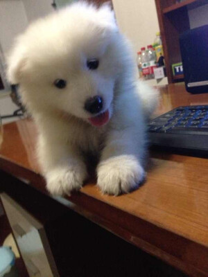 当你还是小姑凉的时候