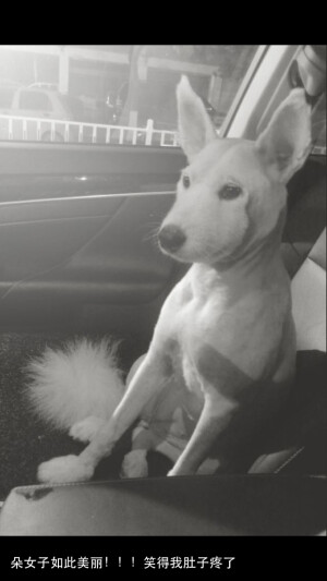 你懂我的悲伤吗