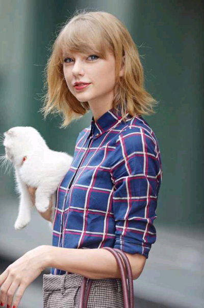 美美的泰勒和傲娇的小猫 taylor swift