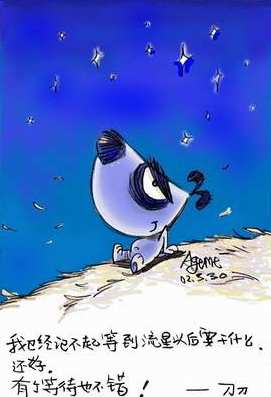 我已经记不起等到流星以后要干什么，还好，有个等待也不错。