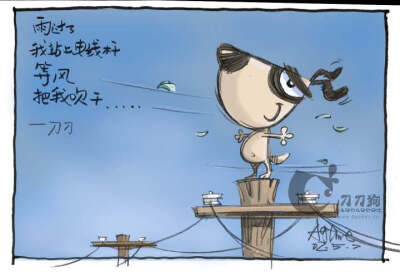 雨过了，我站上电线杆，等风把我吹干。