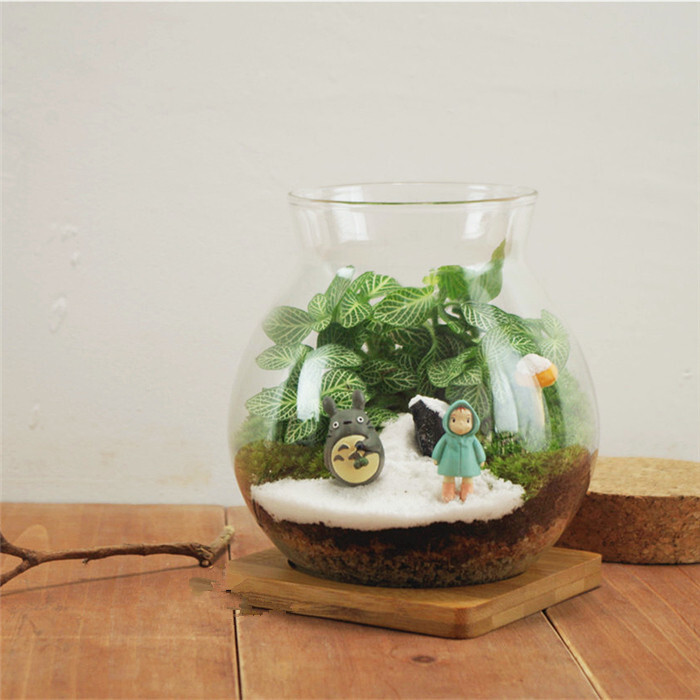 『一元拍』屿路生活 限量 98元苔藓微景观 苔藓瓶 免邮