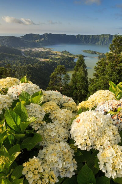 Sao Miguel, Azores islands, Portugal。亚速尔群岛是一位于北大西洋中央的群岛，为葡萄牙领土。群岛由九个主要岛屿组成，包括圣米格尔、圣玛丽亚、法亚尔、皮库、圣若热、特塞拉、格拉西奥萨、弗洛里斯和科尔武，首…