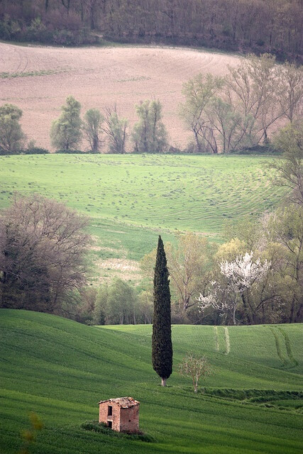 Tuscany, Italy。托斯卡納在意大利中部的西海岸上，一直被視為文藝復(fù)興的發(fā)源地和意大利最美的洲。蒼翠的山谷、綿延的山脈、秀麗的葡萄園、搖曳的橄欖樹(shù)……這明麗的風(fēng)景牽動(dòng)了包括達(dá)芬奇與拉斐爾等眾多畫(huà)家的筆。