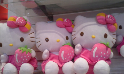 Sanrio Hello Kitty 其它~