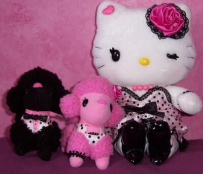 Sanrio Hello Kitty 其它~