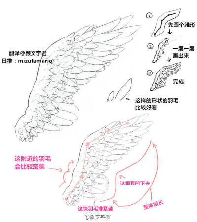 翼的画法 绘画技巧