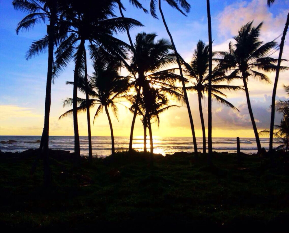 Beruwala • Sri Lanka