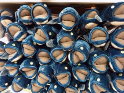 腔棘鱼毛绒张大嘴