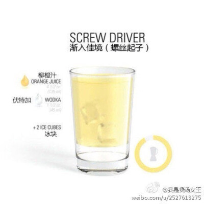 Screw Driver