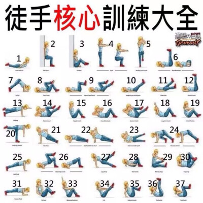 徒手核心训练大全