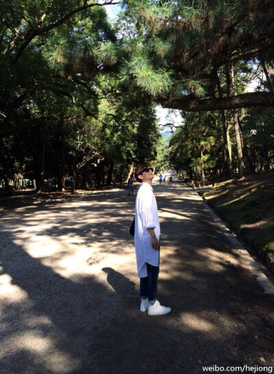 教师节-栀子花开