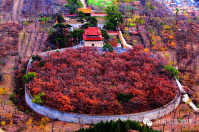 北京 康陵。除了松盖长青的景象，十三陵的陵园内还有另一类美景——橡林披金。许多尚未对外开放的陵园，都生长着参天橡树，这在北京其它地方很罕见。橡树的树冠有多大，树根便有多广，它可以牢牢地抓固住土壤。如图…