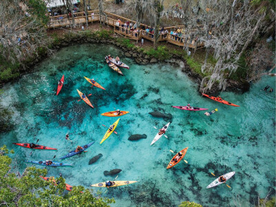 獨木舟群集在佛羅裏達州的三姐妹泉（Three Sisters Springs）。在這裏人們與海牛之間保持著一種爭議性的共存關系。在寒冷的冬天，海牛必須來到這個溫暖的泉水中才能存活，但同時也不得不忍受獨木舟愛好者的幹擾，以…