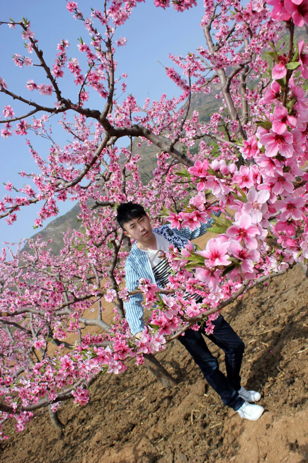 葫芦岛小虹螺山