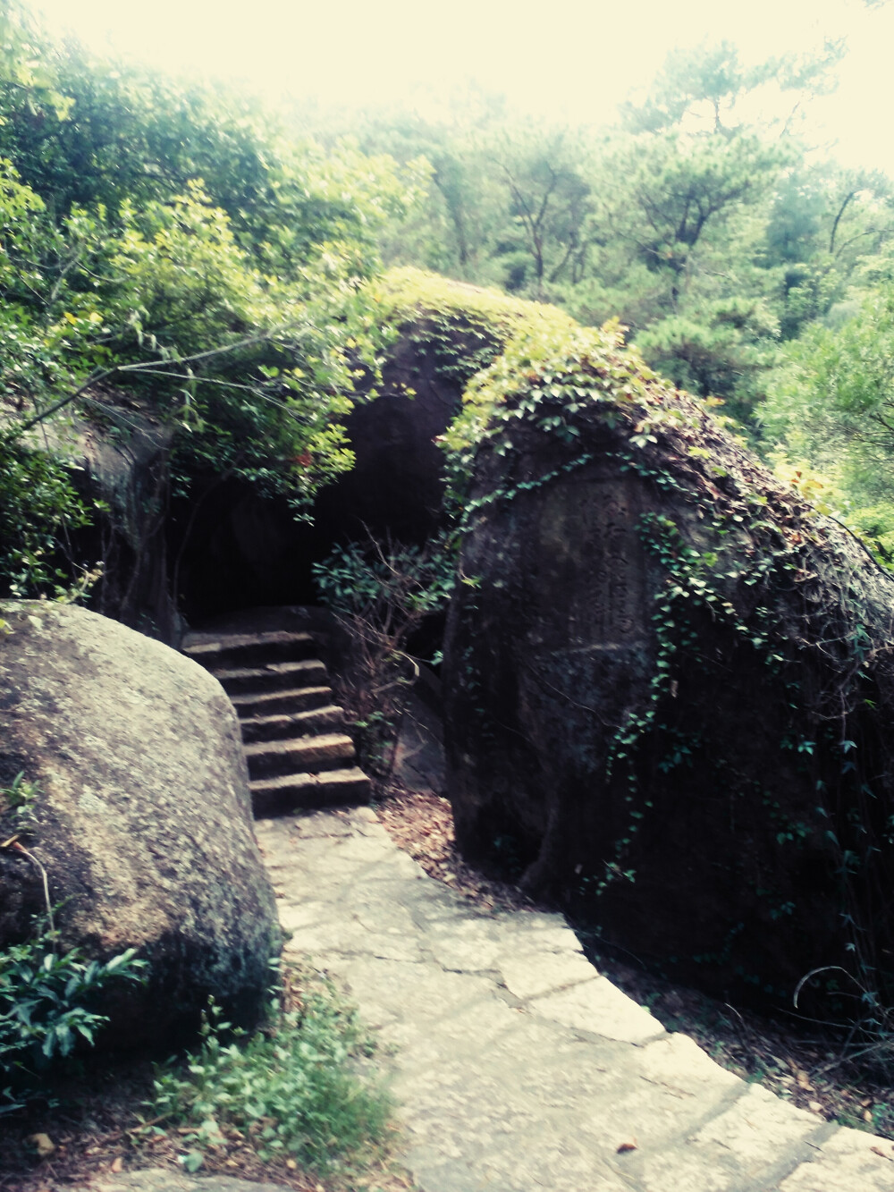 厦门万石植物园 热带植物园区 山上一角