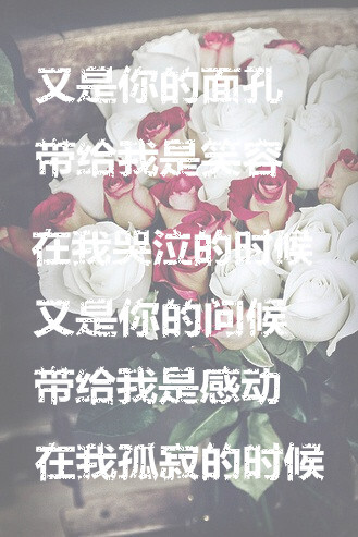 又是你的问候，带给我是感动--曲婉婷[没有什么不同]