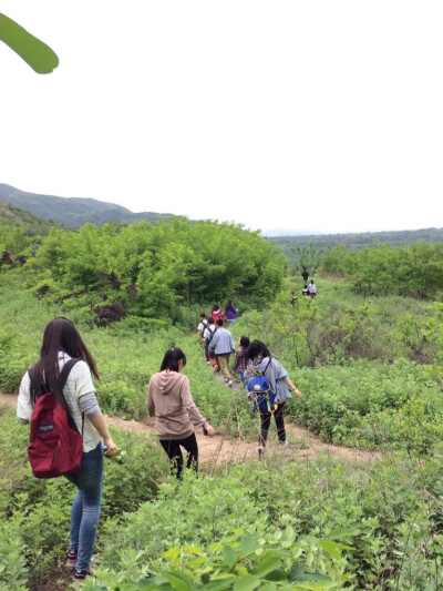 像是鬼子出动 占满了整座山头