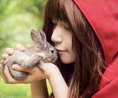 放开那兔子，要吻就吻我吧