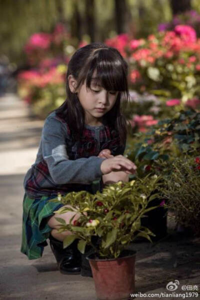 田雨橙 淑女啊 那个风一样的女子呢