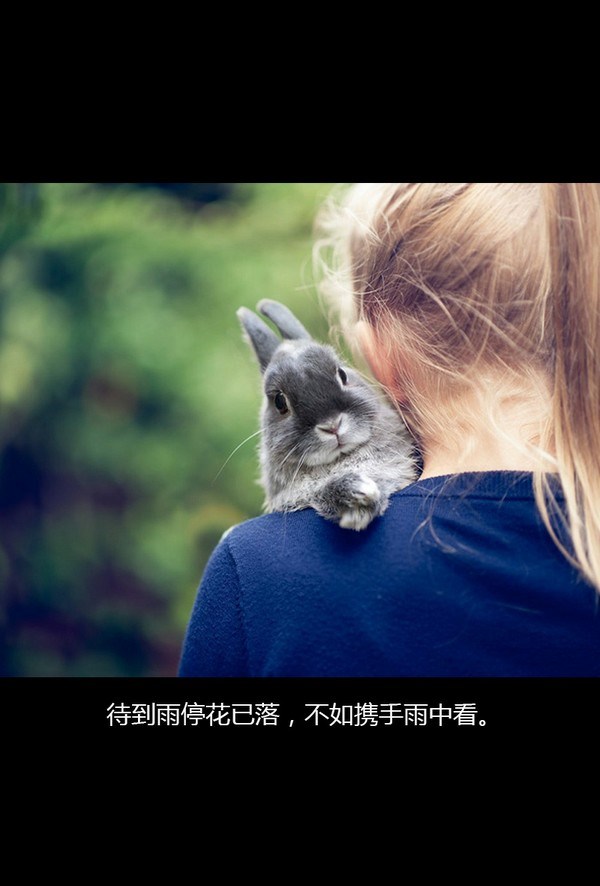 【 待到雨停花已落，不如携手雨中看。】